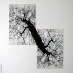 Paris Series: Doubletree Paris Series: Doubletree